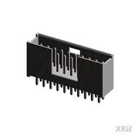 X2530WV-2x10-PTSN