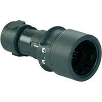 PXP6010/03P/ST