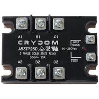 A53TP25D