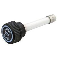 GLR-10
