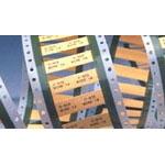 D-SCE-1K-3.2-50-9