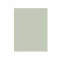 1MIC 3M262X TF SHEET 8.5X11"