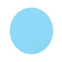 3M 8810 CIRCLE-1"-100
