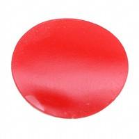 3M 4905 CIRCLE-0.5"-250