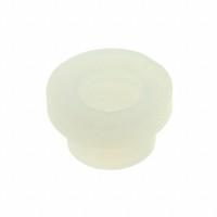 10SCM004003