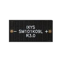 SM101K09L