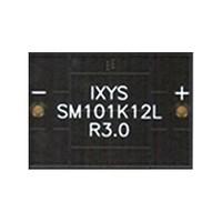SM101K12L