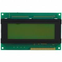 DMC-20481NY-LY-BAE-BKN