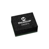 Microchip Technology DSC613RI3A-010U