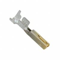 Molex 0194200003
