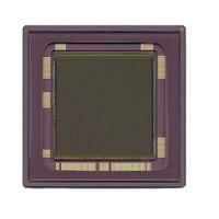 NOIL1SC4000A-GDC