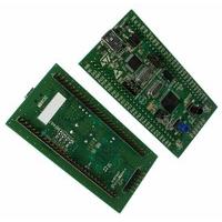 STMicroelectronics STM32VLDISCOVERY Reference Design 1