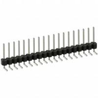 PEC19SGAN
