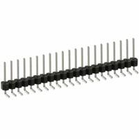 PEC21SGAN