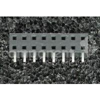 953216-2000-AR-PT