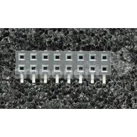 956216-2000-AR-PT