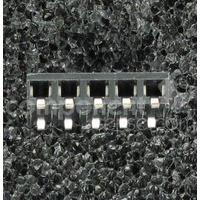 960105-8100-AR-TP