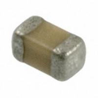 AVX Corporation 04025C221MAT2A