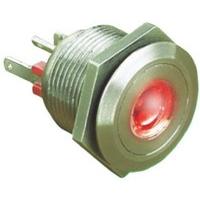 MPI001/RP/RD