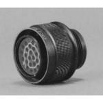 MS24266R12T3PN
