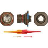 KJB7T11W5PN