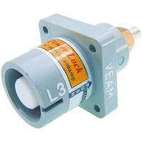 NPS-3-GY-T4