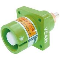 NPS-E-GN-T6
