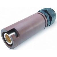 SNLF-S-C25-25S-BN