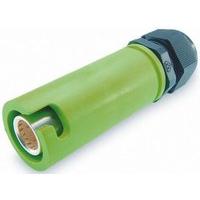 SNLF-S-C25-25S-GN
