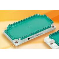 MKI100-12F8