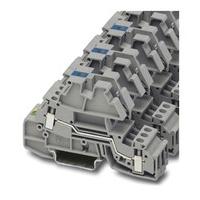 3038024