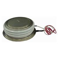 Powerex Inc. T9G0061203DH