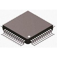 R5F100GEDFB#30