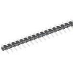 MTLW-101-08-T-S-245