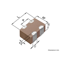 TDK Corporation CKCL22JB1H102M085AA
