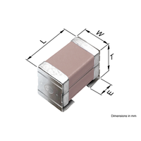 TDK Corporation CKG45NX7T2E225M500JH TDK Corporation CKG45NX7T2E225M500JH