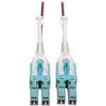 Tripp Lite N821-01M-MG-T