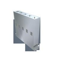 ISSM-10-K