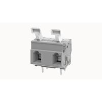 DG242R-10.0-02P