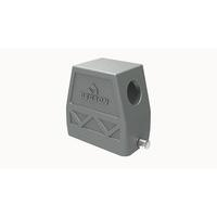 D10B-SEH-2g-PG21