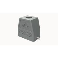 D10B-TEH-2g-PG29