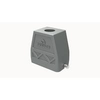 D10B-TEH-2g-PG21