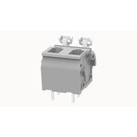 DG242V-7.62-02P