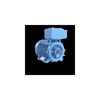 IFDC3030EZER101M