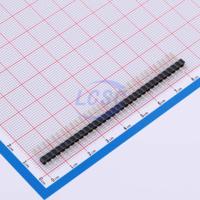 DS1021-1x32SF11-B