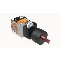 DT22A-S2RD11/RDAC/DC24V