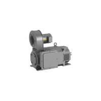 S-1110A (P)