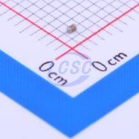 SS24B