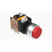 DT22M-FLH11/RD