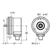 RI-10S6S-2B4096-H1181